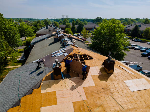 Trusted Storm Damage Roof Repair service in Arlington, TX - Brentwood Metal Roofing